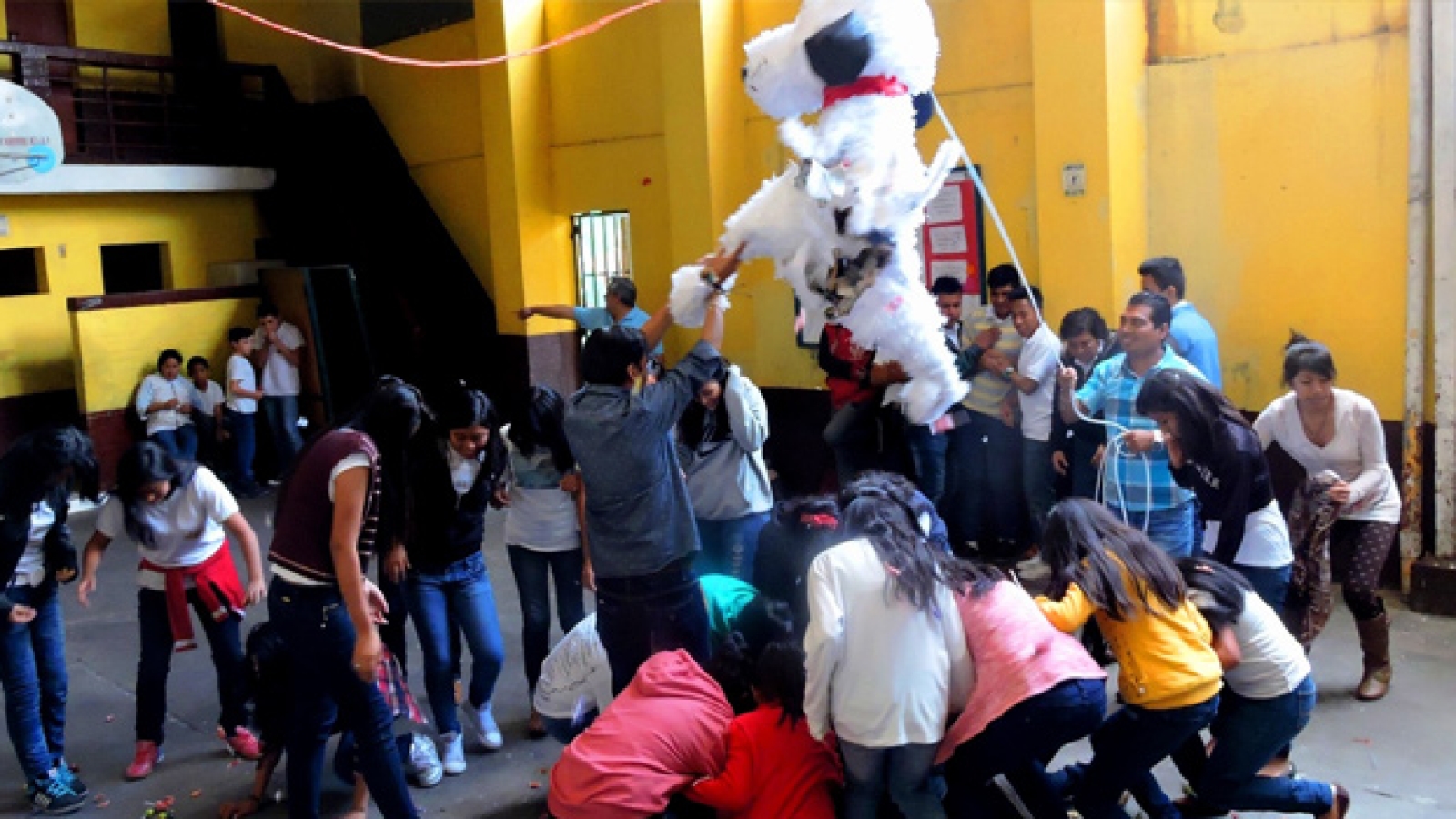 Actividad-Basicos-y-Bachillerato-Dia-del-Carino-Cover-EN