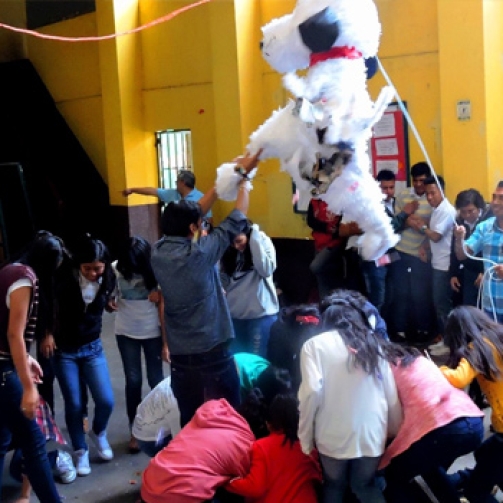 Actividad-Basicos-y-Bachillerato-Dia-del-Carino-Cover-EN