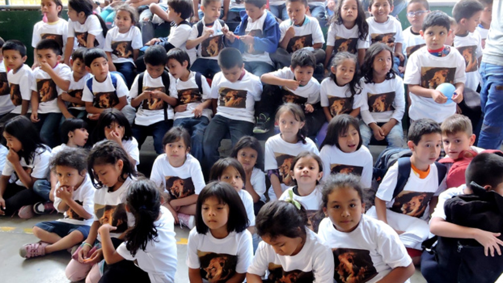 Campamento-Pre-Primaria-Quien-es-Jesus-EN