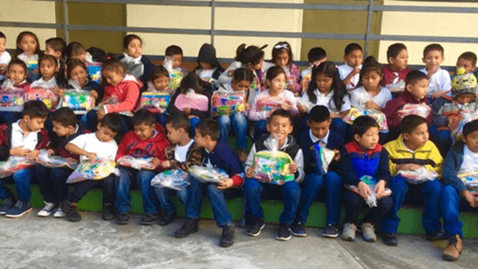 asociacionvidaEN
