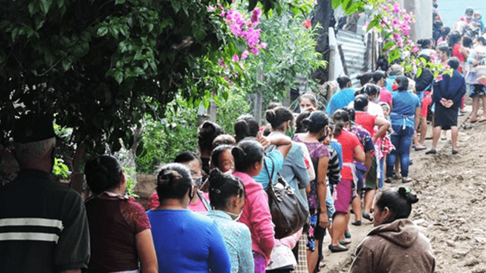 entregabolsaviveresbejucal